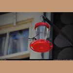 DSC_3722.jpg   123.8K