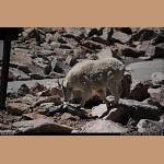 DSC_3758.jpg   207.4K