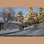 DSC_5627.jpg   278.2K