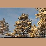 DSC_5630.jpg   255.2K