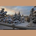DSC_5641.jpg   204.8K