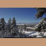 DSC_5696.jpg   231.4K