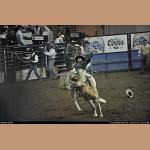 DSC_5753.jpg   171.9K