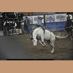 DSC_5766.jpg   163.2K