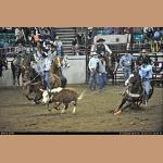 DSC_5932.jpg   215.9K
