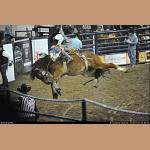 DSC_5989.jpg   192.1K