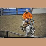 DSC_6051.jpg   159.5K
