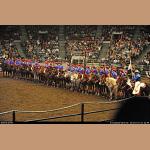 DSC_6127.jpg   253.5K