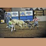 DSC_6271.jpg   209.9K