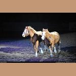 DSC_6369.jpg   175.4K