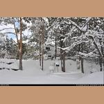 DSC_6588.jpg   258.8K