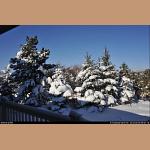 DSC_6607.jpg   199.2K