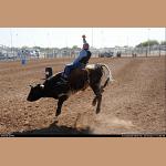 DSC_6719.jpg   211.4K