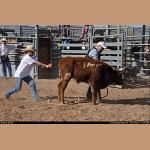 DSC_6834.jpg   252.7K