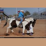 DSC_8191.jpg   174.8K