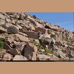 DSC_0024.JPG   265.4K