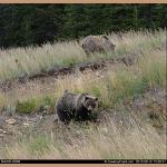 DSC_0308.jpg   207.2K