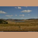 DSC_1677.JPG   159.9K