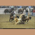 DSC_6266.JPG   195.1K