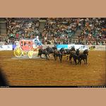 DSC_6359.JPG   251.6K