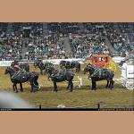 DSC_6368.JPG   278.3K