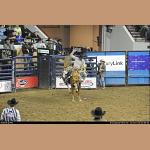 DSC_6385.JPG   217.8K