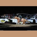 DSC_6538.JPG   154.5K