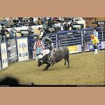 DSC_6643.JPG   236.6K