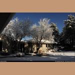 DSC_6732.JPG   233.7K