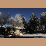 DSC_6733.JPG   229.3K
