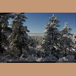 DSC_6734.JPG   253.8K