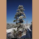 DSC_6735.JPG   143.9K