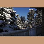 DSC_6740.JPG   223.4K