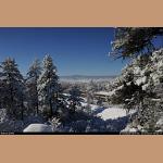 DSC_6742.JPG   238.2K