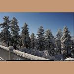 DSC_6744.JPG   231.3K