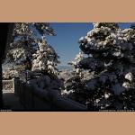 DSC_6747.JPG   215.3K