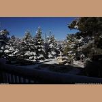 DSC_6750.JPG   205.7K