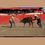 DSC_6936.JPG   202.9K