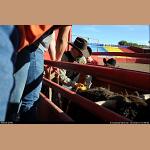 DSC_6967.JPG   172.6K