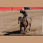 DSC_7292.JPG   214.5K