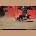 DSC_7560.JPG   174.9K