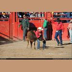 DSC_7620.JPG   211.3K