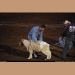 DSC_7872.JPG   148.6K