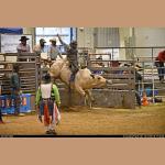 images/DSC_0662.JPG   135.5K