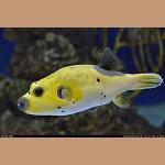 images/DSC_1668.JPG   90.5K
