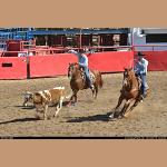 images/DSC_4286.JPG   201.8K