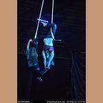 images/DSC_5381.JPG   29.5K