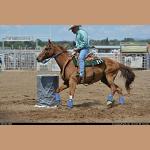 images/DSC_8639.JPG   156.5K