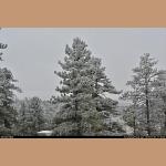DSC_3384.JPG 165.9K