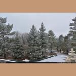 DSC_3386.JPG 182.2K